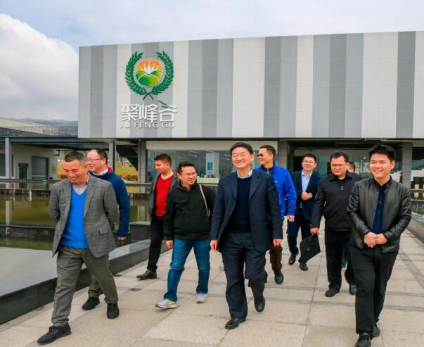 集团党委书记、董事长任丁率队调研聚峰谷